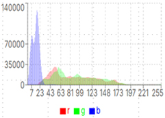 프레임 자동검사 시스템 Histogram